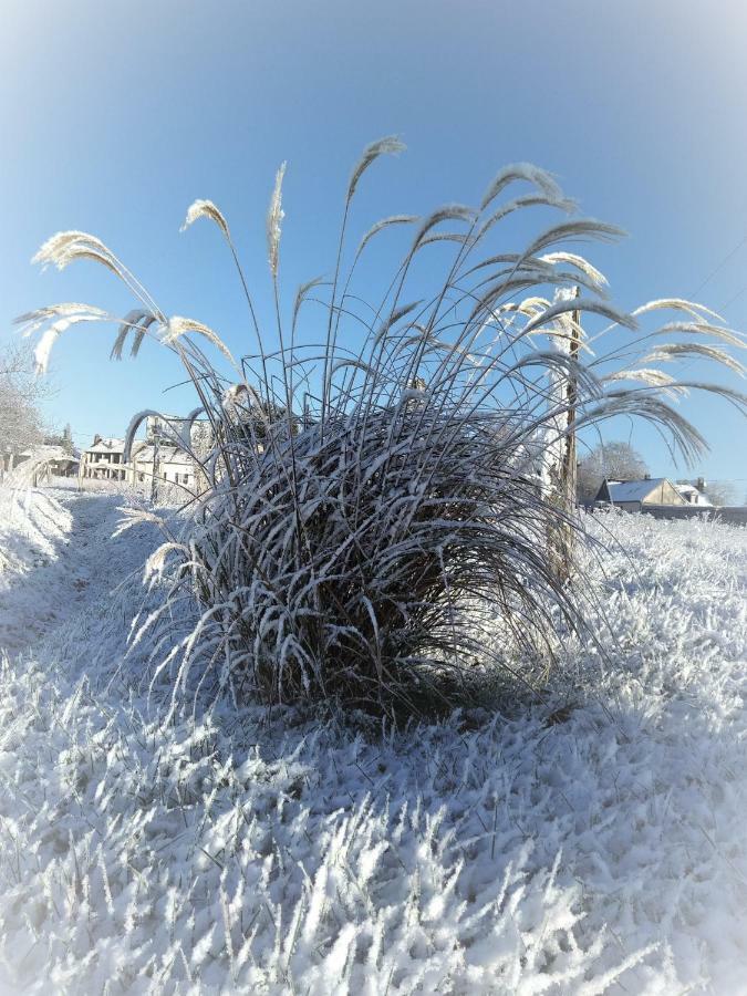 Le Gite Du Chene Rouvre Corbeil-Cerf Екстериор снимка